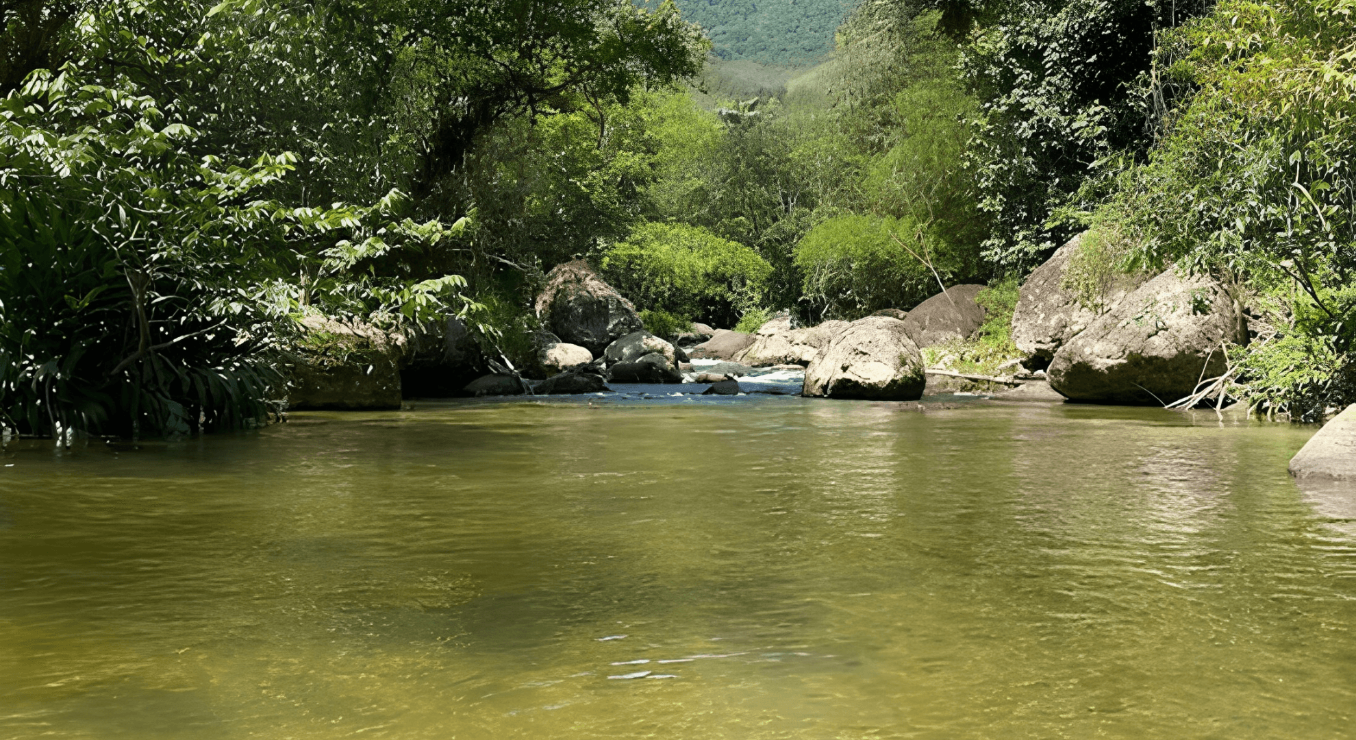 Rio Sana