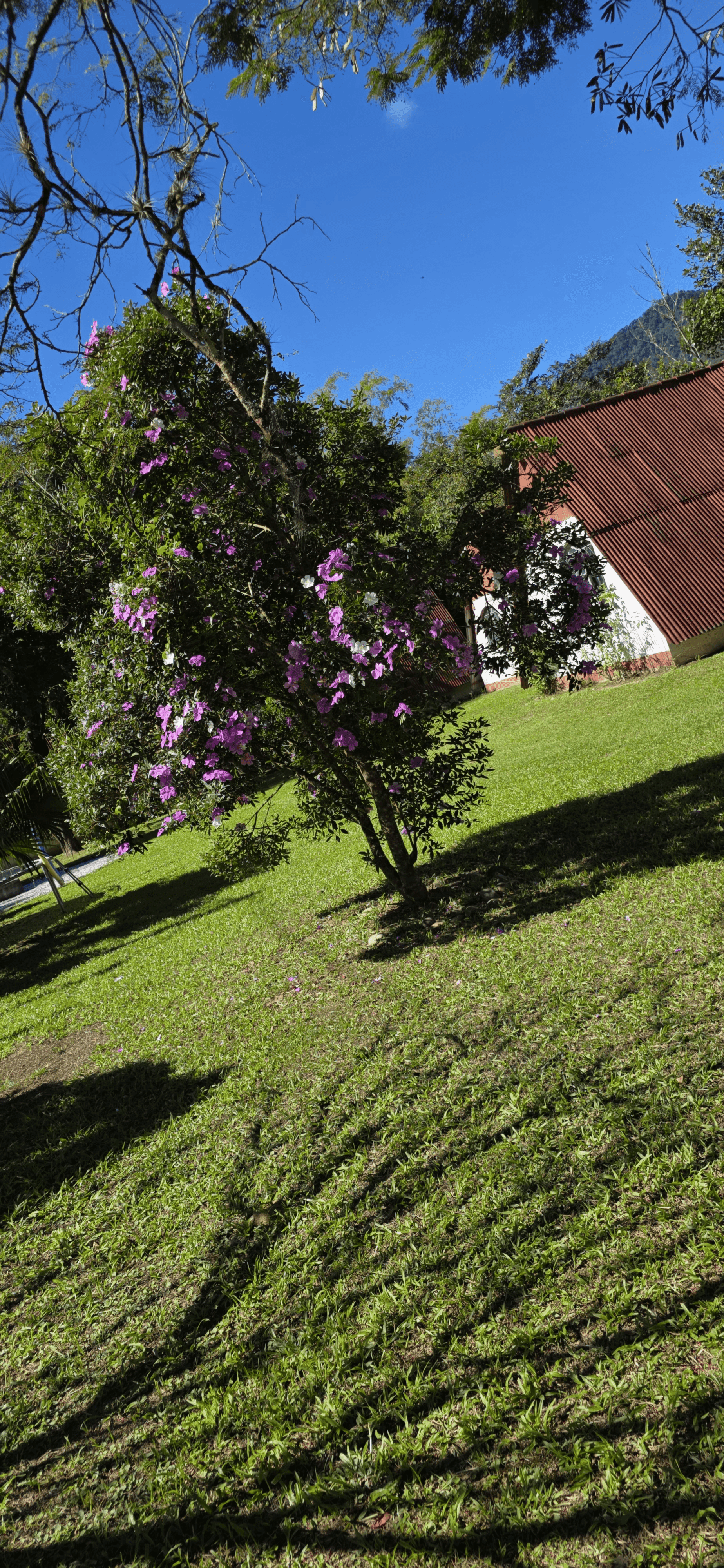 Chalé Recanto, área externa, foto 25
