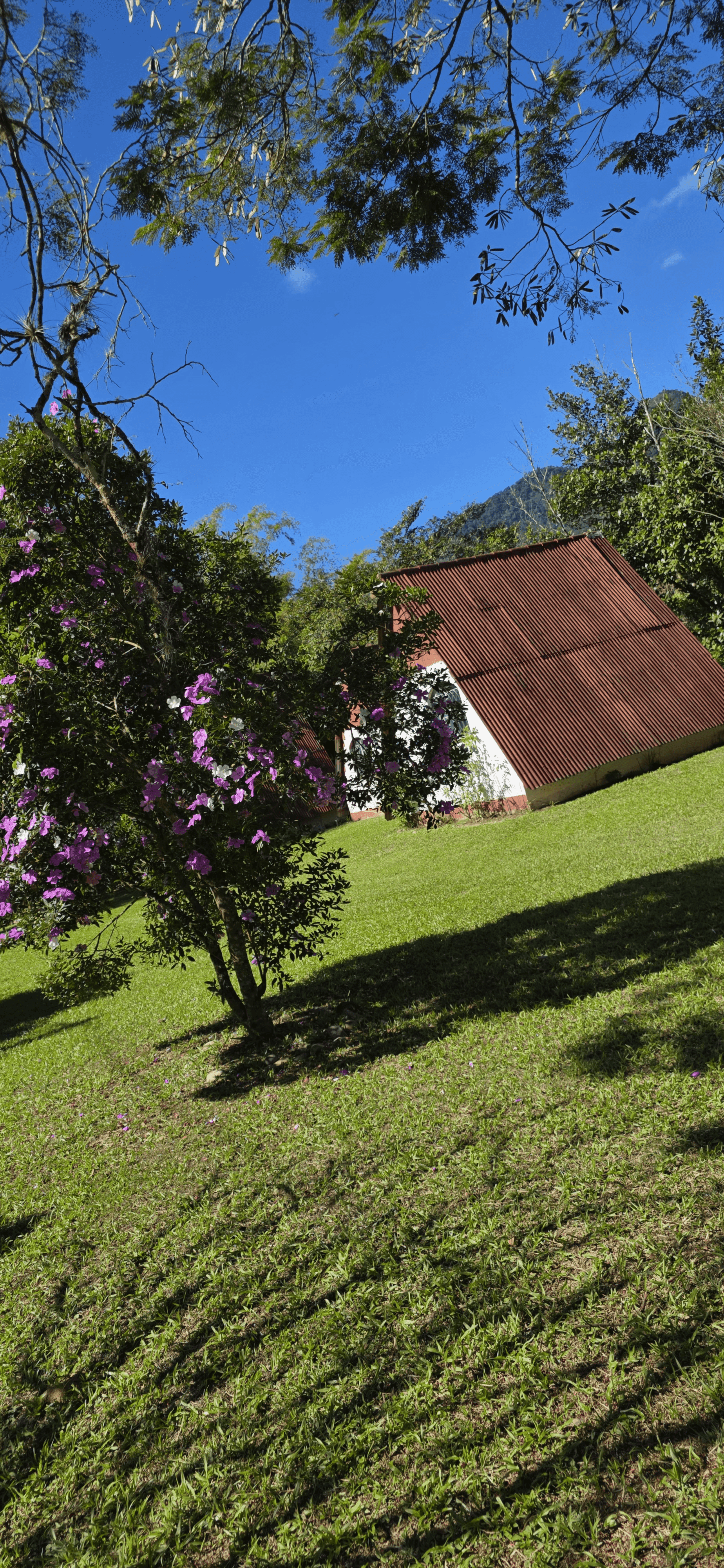 Chalé Recanto, área externa, foto 26