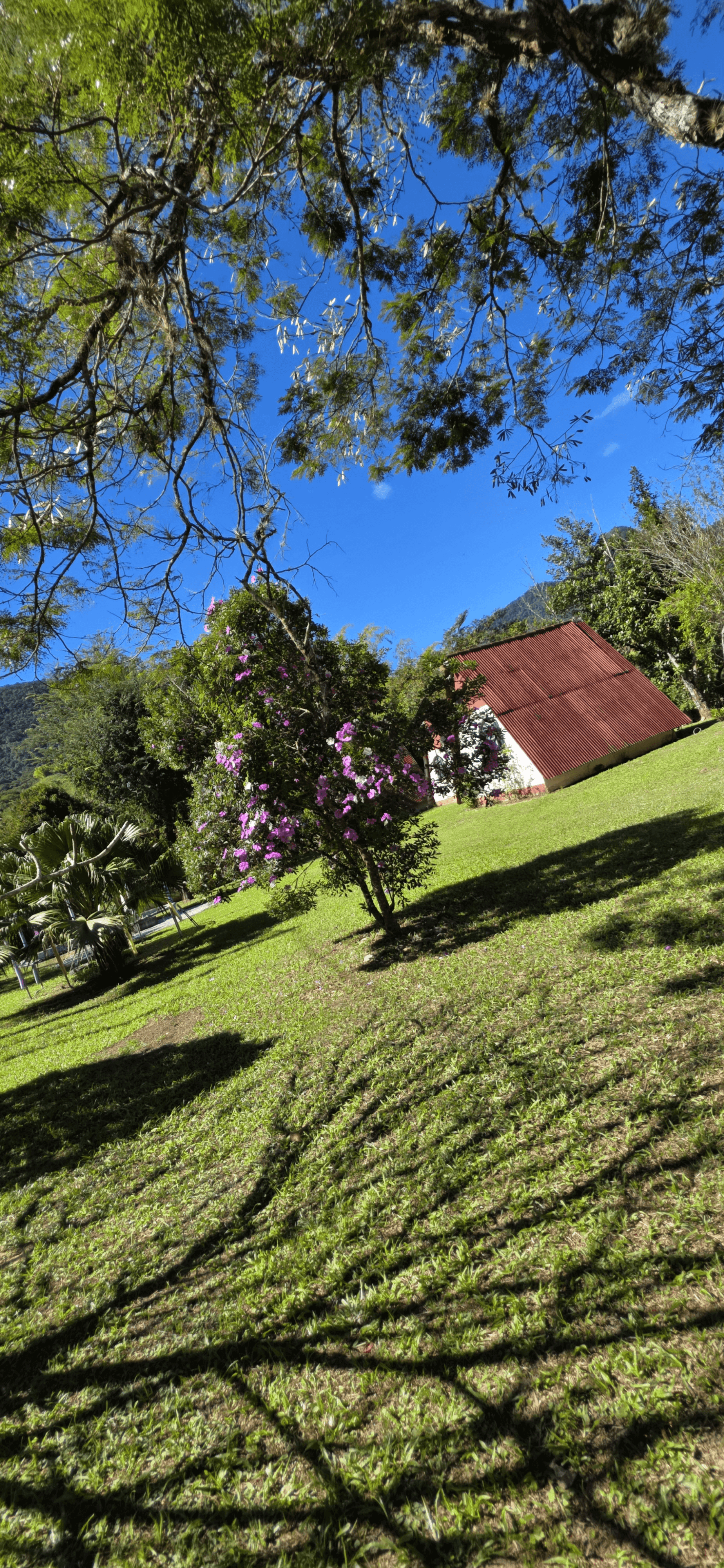 Chalé Recanto, área externa, foto 27