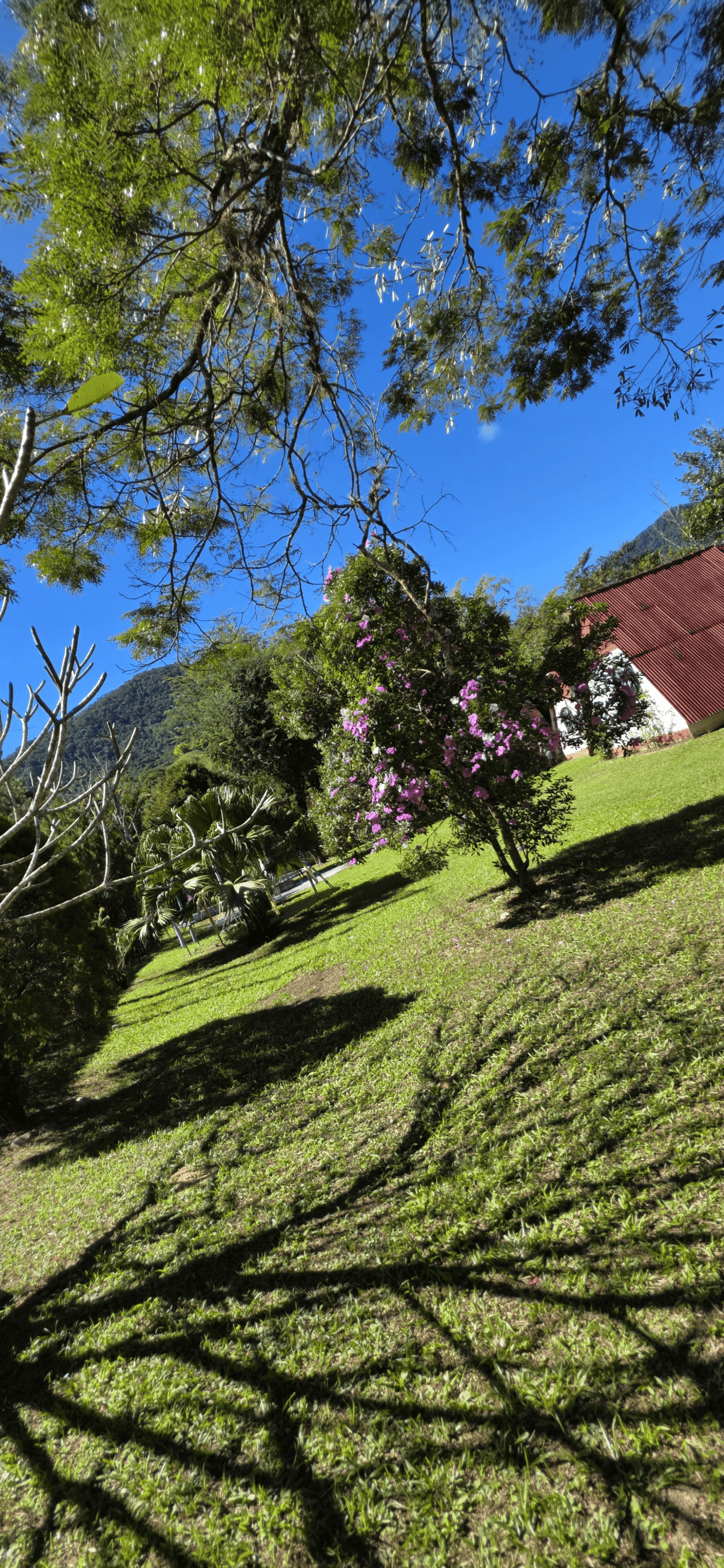 Chalé Recanto, área externa, foto 28
